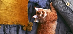 home decor images
